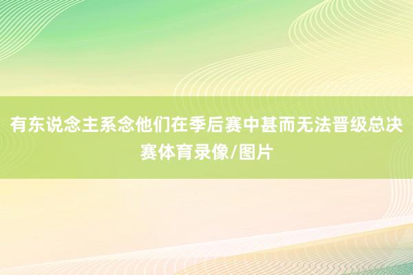 有东说念主系念他们在季后赛中甚而无法晋级总决赛体育录像/图片