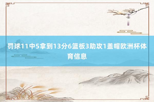 罚球11中5拿到13分6篮板3助攻1盖帽欧洲杯体育信息