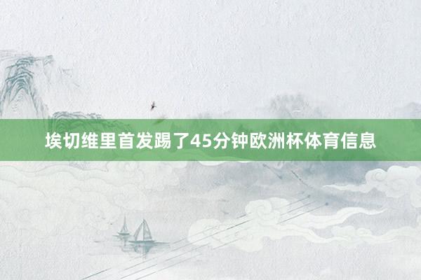 埃切维里首发踢了45分钟欧洲杯体育信息