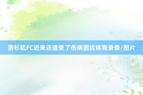 洛杉矶FC近来还遭受了伤病困扰体育录像/图片