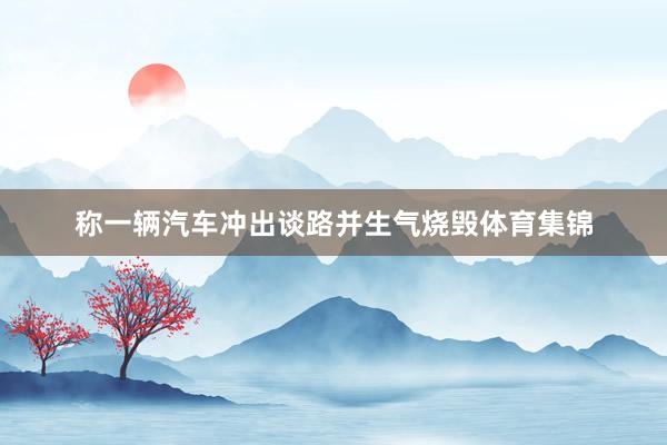 称一辆汽车冲出谈路并生气烧毁体育集锦