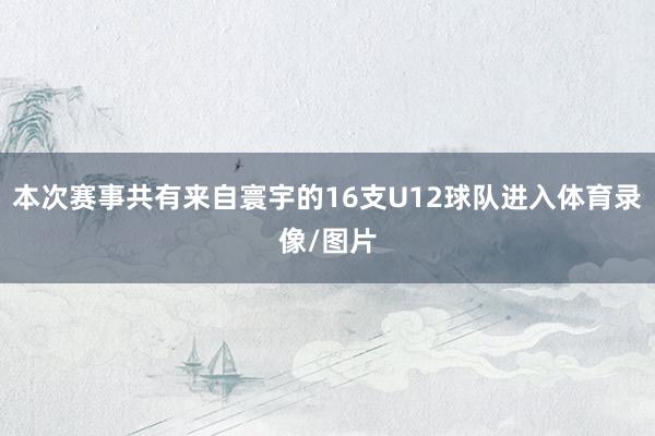 本次赛事共有来自寰宇的16支U12球队进入体育录像/图片
