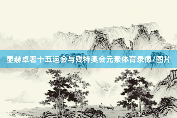显赫卓著十五运会与残特奥会元素体育录像/图片