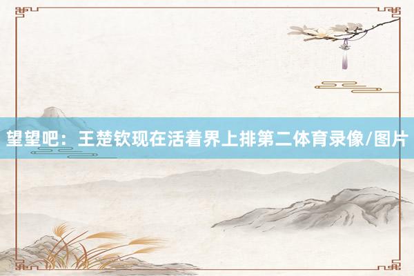 望望吧：王楚钦现在活着界上排第二体育录像/图片