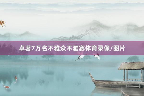 卓著7万名不雅众不雅赛体育录像/图片