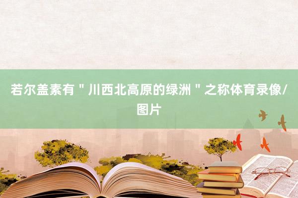若尔盖素有＂川西北高原的绿洲＂之称体育录像/图片