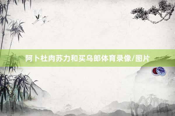 阿卜杜肉苏力和买乌郎体育录像/图片