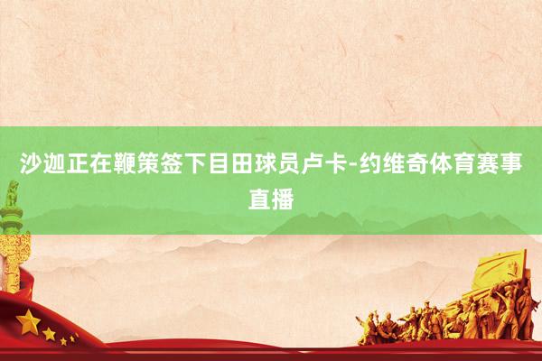 沙迦正在鞭策签下目田球员卢卡-约维奇体育赛事直播