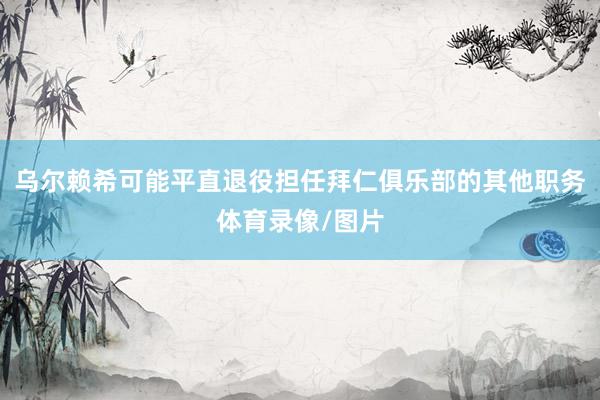 乌尔赖希可能平直退役担任拜仁俱乐部的其他职务体育录像/图片