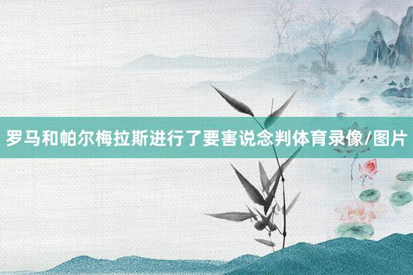 罗马和帕尔梅拉斯进行了要害说念判体育录像/图片