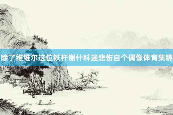 除了维维尔这位铁杆谢什科迷悲伤自个偶像体育集锦