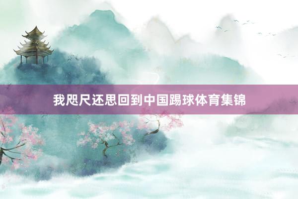 我咫尺还思回到中国踢球体育集锦