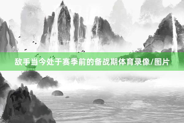 敌手当今处于赛季前的备战期体育录像/图片