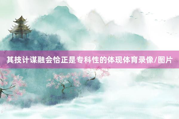 其技计谋融会恰正是专科性的体现体育录像/图片