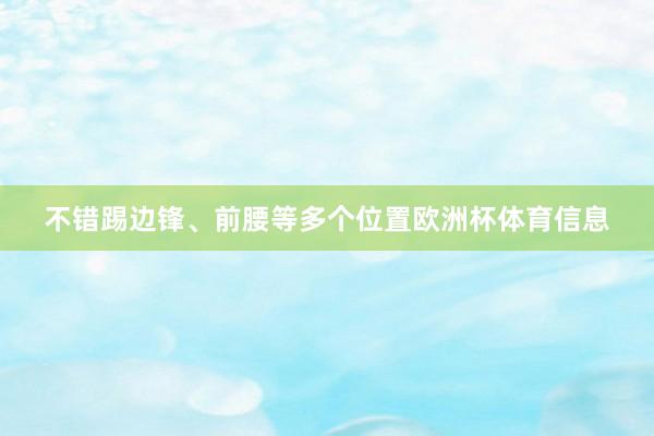 不错踢边锋、前腰等多个位置欧洲杯体育信息