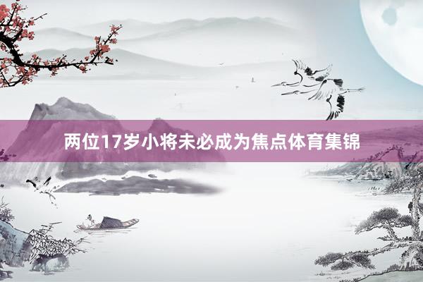 两位17岁小将未必成为焦点体育集锦