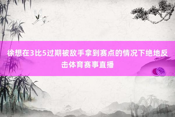 徐想在3比5过期被敌手拿到赛点的情况下绝地反击体育赛事直播