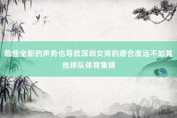险些全新的声势也导致深圳女排的磨合度远不如其他球队体育集锦