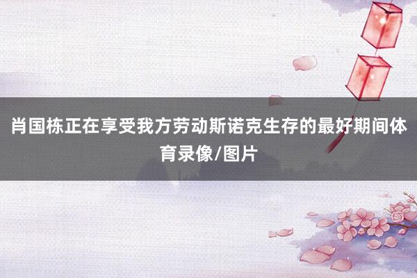 肖国栋正在享受我方劳动斯诺克生存的最好期间体育录像/图片