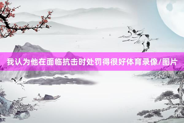 我认为他在面临抗击时处罚得很好体育录像/图片