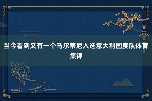 当今看到又有一个马尔蒂尼入选意大利国度队体育集锦