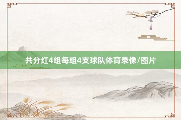 共分红4组每组4支球队体育录像/图片