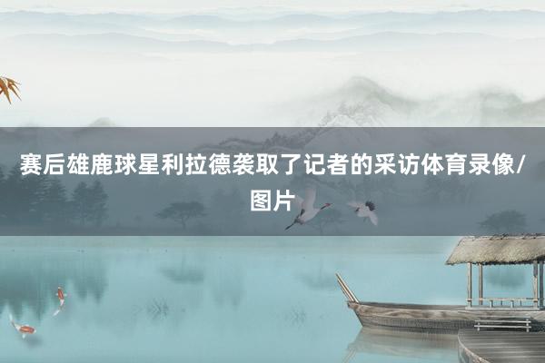 赛后雄鹿球星利拉德袭取了记者的采访体育录像/图片