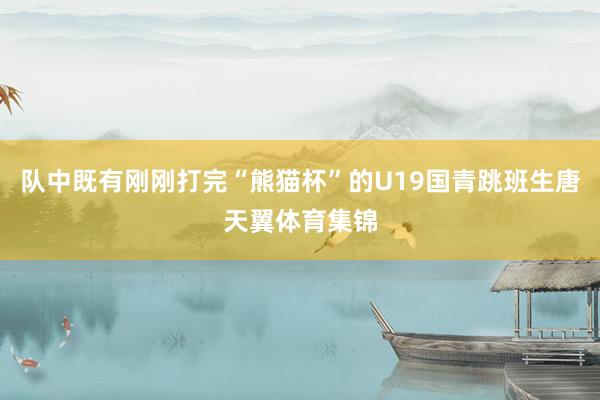 队中既有刚刚打完“熊猫杯”的U19国青跳班生唐天翼体育集锦