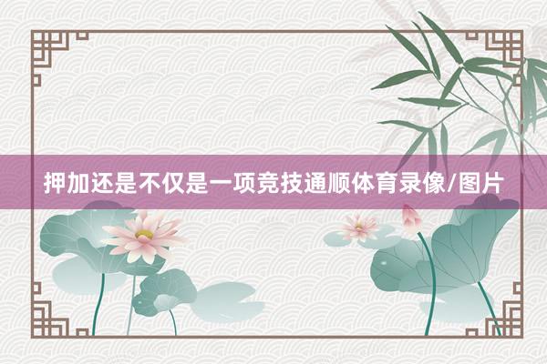 押加还是不仅是一项竞技通顺体育录像/图片