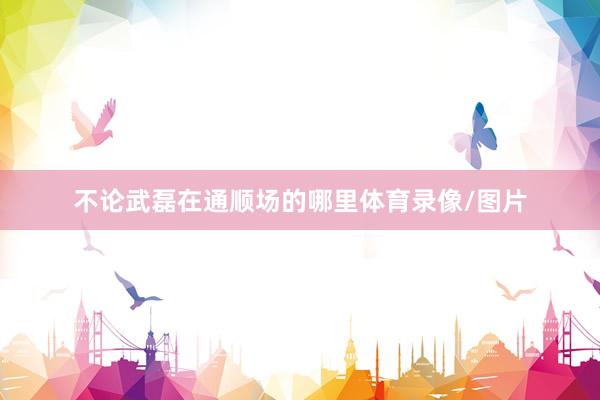 不论武磊在通顺场的哪里体育录像/图片