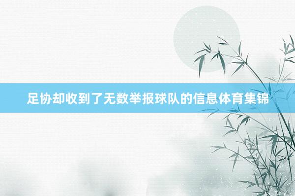 足协却收到了无数举报球队的信息体育集锦