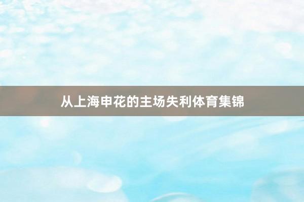 从上海申花的主场失利体育集锦