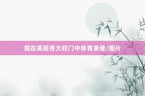 现在英超各大权门中体育录像/图片