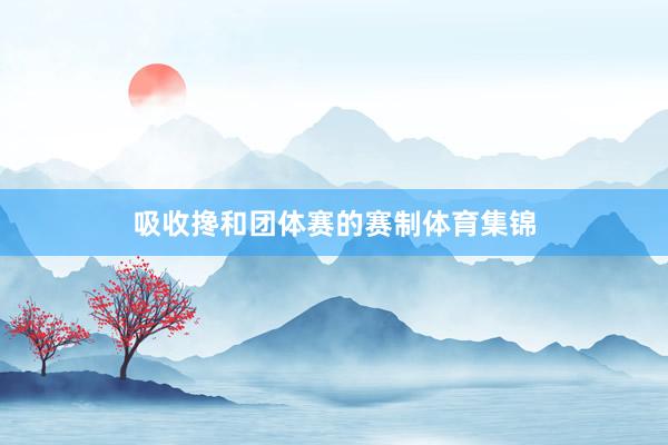 吸收搀和团体赛的赛制体育集锦