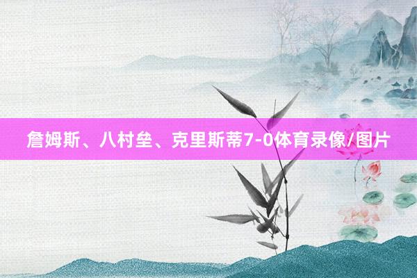 詹姆斯、八村垒、克里斯蒂7-0体育录像/图片