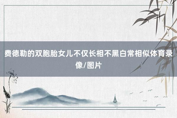 费德勒的双胞胎女儿不仅长相不黑白常相似体育录像/图片