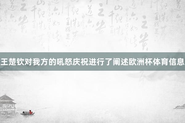 王楚钦对我方的吼怒庆祝进行了阐述欧洲杯体育信息