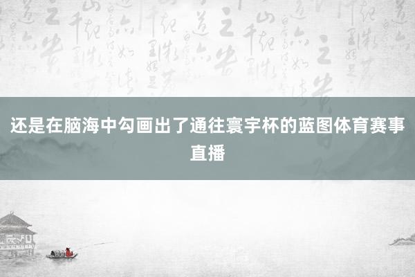 还是在脑海中勾画出了通往寰宇杯的蓝图体育赛事直播