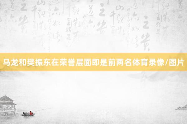 马龙和樊振东在荣誉层面即是前两名体育录像/图片