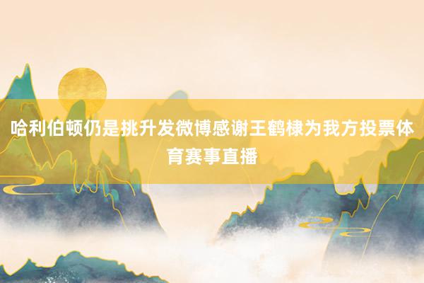 哈利伯顿仍是挑升发微博感谢王鹤棣为我方投票体育赛事直播