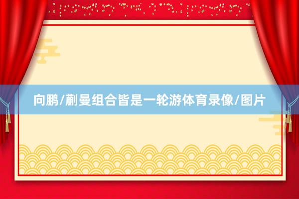 向鹏/蒯曼组合皆是一轮游体育录像/图片