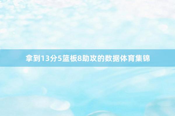 拿到13分5篮板8助攻的数据体育集锦