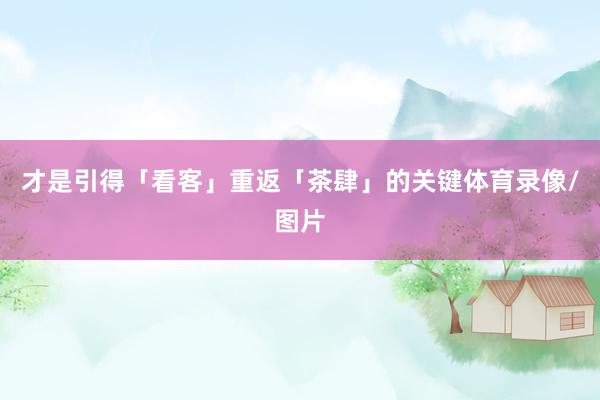 才是引得「看客」重返「茶肆」的关键体育录像/图片