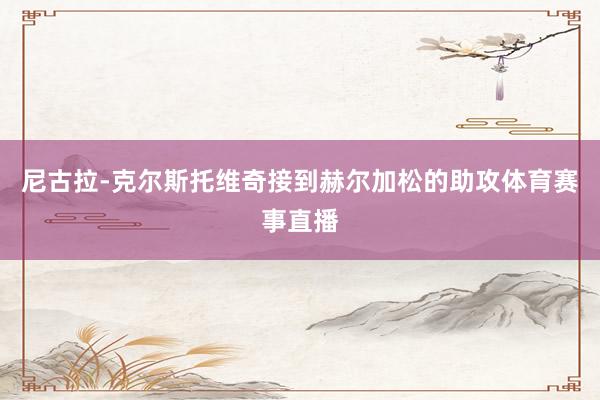 尼古拉-克尔斯托维奇接到赫尔加松的助攻体育赛事直播