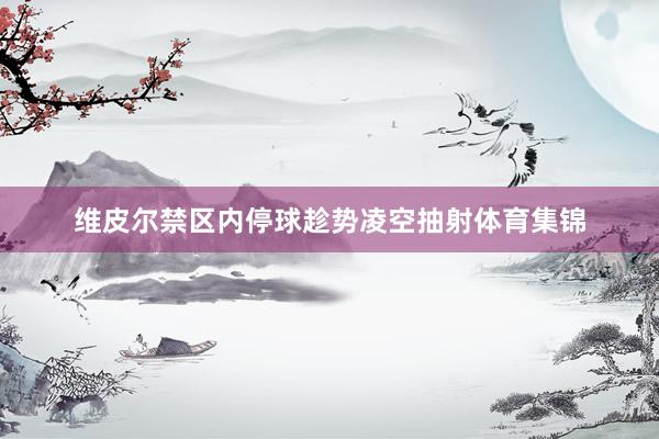 维皮尔禁区内停球趁势凌空抽射体育集锦