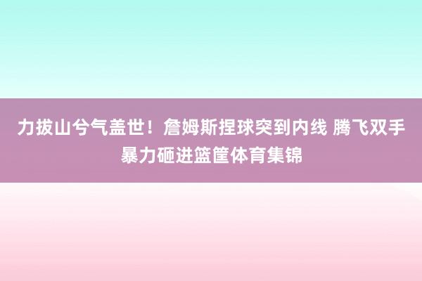力拔山兮气盖世！詹姆斯捏球突到内线 腾飞双手暴力砸进篮筐体育集锦