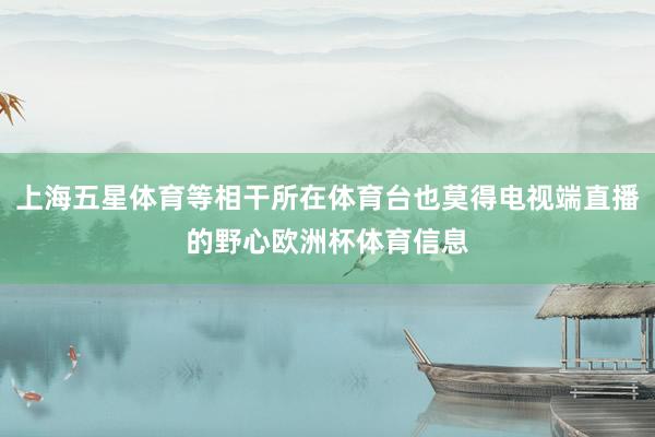 上海五星体育等相干所在体育台也莫得电视端直播的野心欧洲杯体育信息