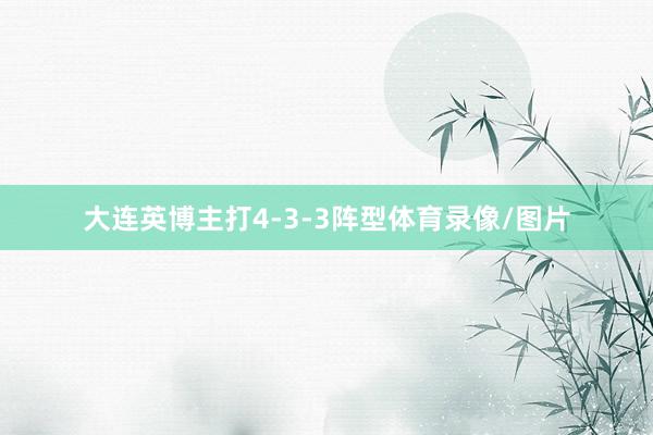 大连英博主打4-3-3阵型体育录像/图片
