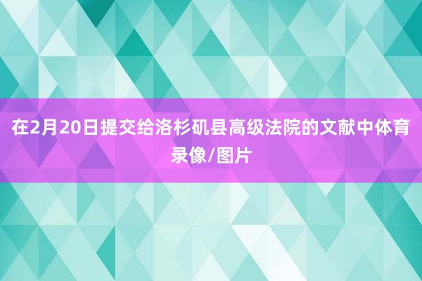在2月20日提交给洛杉矶县高级法院的文献中体育录像/图片