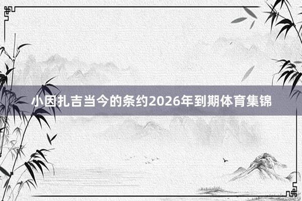 小因扎吉当今的条约2026年到期体育集锦
